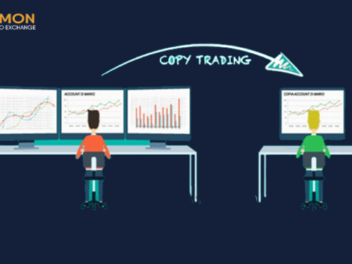 How to Choose the Right Copy Trader in Crypto Trading: A Deep Dive