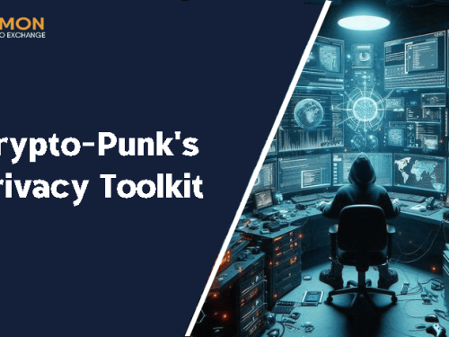 How to Protect Yourself from Online Surveillance: The Ultimate Toolkit for Crypto-Punks